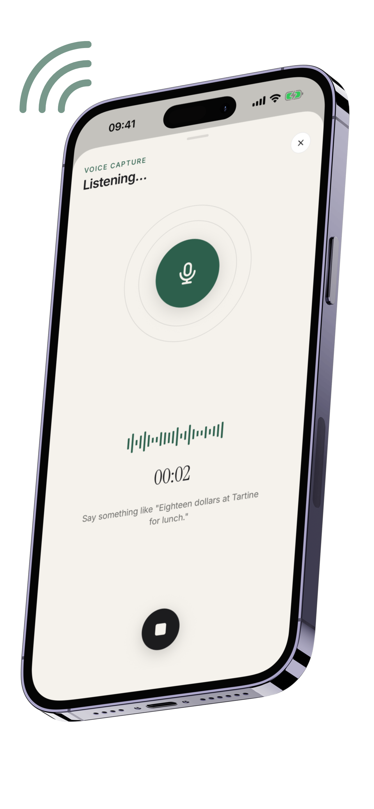 Say it, Pockita logs it — voice quick-add demo